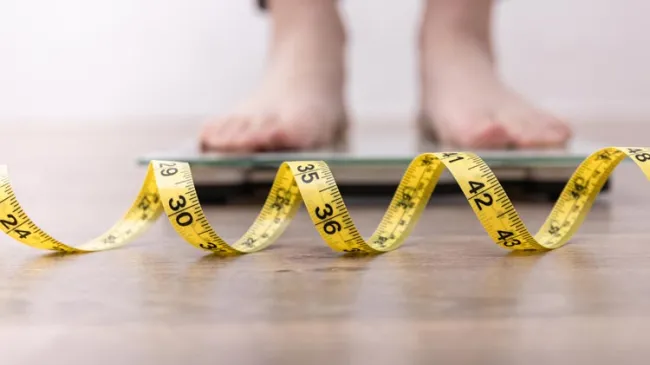 scale measuring tape